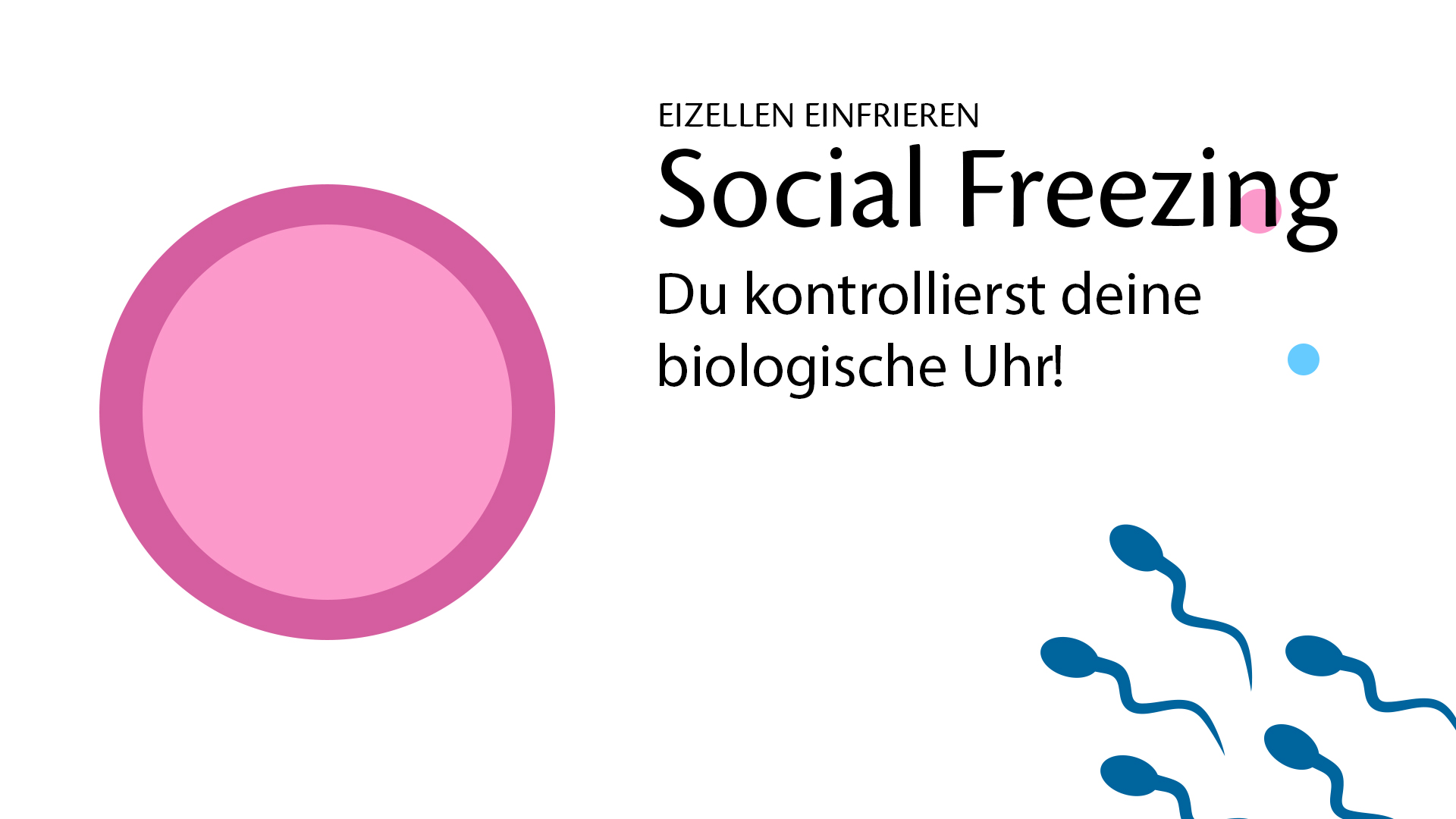 infografik-slide1-anim0